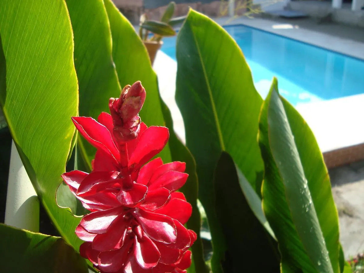 Inn Pousada Manga Rosa- Arraial Porto Seguro